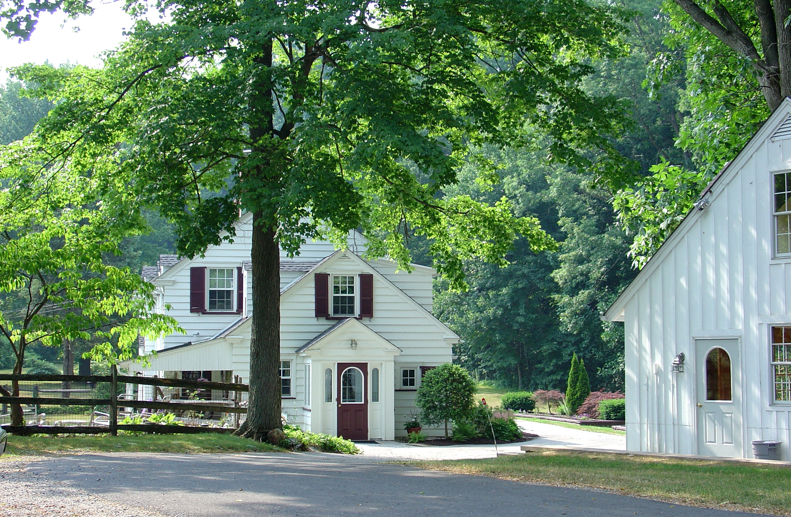 DSC02239