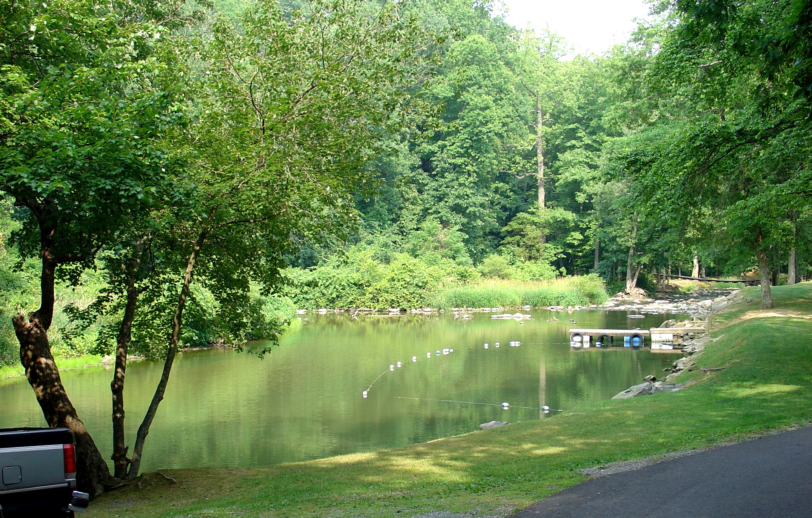 DSC02241